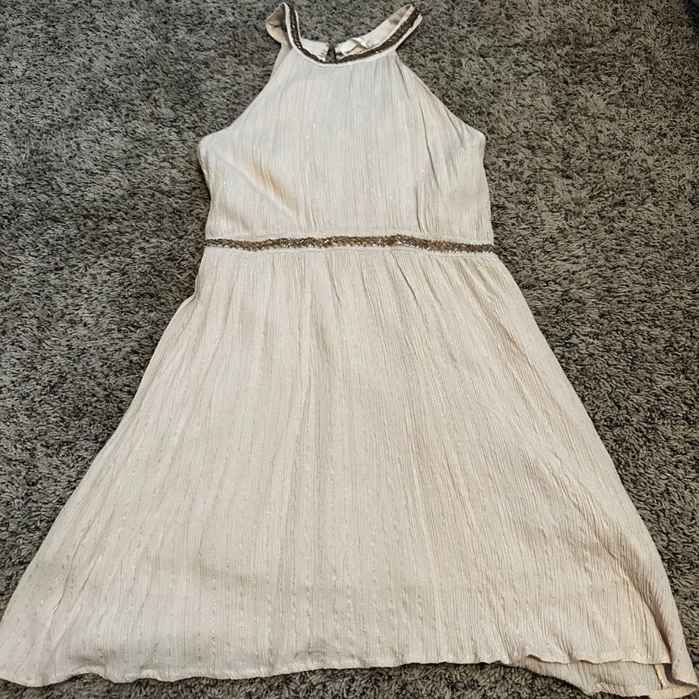 Altar'D State Medium High Neck Spring Dress